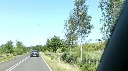 Jedziemy na plażę! Bałtyk i Pogaduchy! Z pieskiem Rubikiem do Łaz! Q&A z Dzikiej Plaży! Sharp!