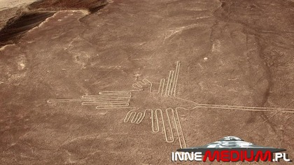 Zagadkowy gigant z pustyni Atacama