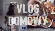 Kot LISTONOSZ - Vlog 52