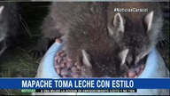 Jedzenie na bezdechu