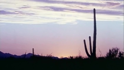 Pewnego razu w pociągu do Teksasu 1988 lektor pl . western