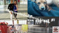 Niepełnosprawni też mogą-Kurs na instruktora fitness