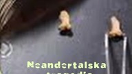 Neandertalska tragedia czy praźródło najstarszej religii świata