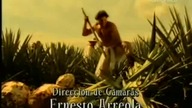 Miłość jak tequila odc 081