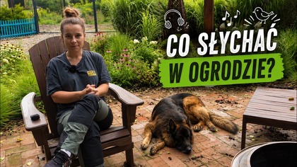 Co słychać w naszym ogrodzie?  Spacer po ogrodzie pod koniec lata