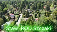 Szczaki ROD Relaks- Staw