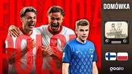 FINLANDIA - POLSKA: DOMÓWKA! | Tetrycy i Sipika
