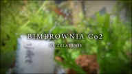 Bimbrownia na żelatynie (tanie CO2)