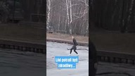 Pies wpadł pod lód to cud że udało się go wyciągnąć!