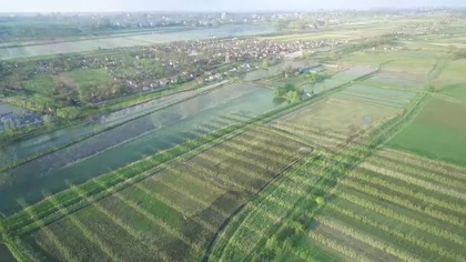 Markuszów znad stawów - wiosną