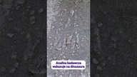 Unikatowe znalezisko - ślad siedzącego dinozaura! #paleontologia #dinozaury