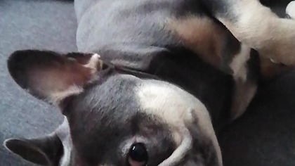 60726b93-4d85-4c99-b47d-06395c7d0b84