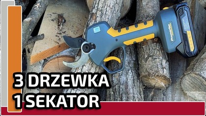 Prunarbo E40  Akumulatorowy sekator w akcji!  Test na 3 drzewkach