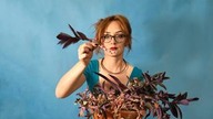 Jak przyciac, odmłodzic i ukorzenic TRZYKROTKĘ? VLOG Tradescantia purple