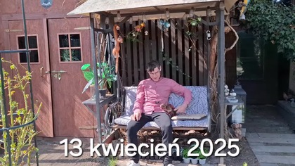 W Garden kuRaż * Woliera dla kanarków i gołąbków diamentowych już gotowa * Tulipany kwitną