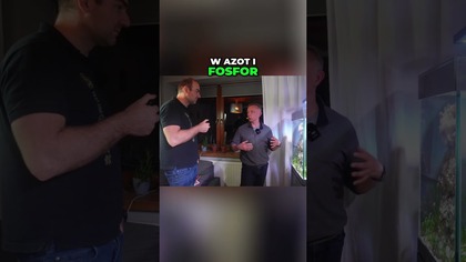 Czy akwarium morskie z glonami trzeba nawozić? 