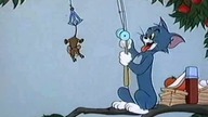 Tom i Jerry 22 (Dubbing PL)