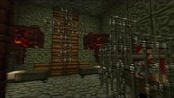 Minecraft: Wizje | S01E09 - Stracony Zmysł [FINAŁ]