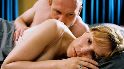 Borgman (2013) 
