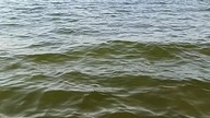 32 stopnie w Koszalinie i Mielnie, czyli korzystamy z życia na Plaży! Bałtyk coraz cieplejszy!