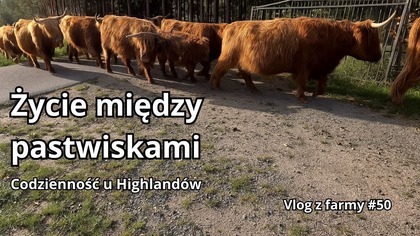 Vlog z farmy #50 Wrześień i Październik