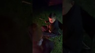 Kiełbasa jak za dawnych lat