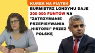 Dr Ewa Kurek - Sprawa sądowa za 40 groszy, Polska fałszuję historię?, Yad Vashem przeprasza