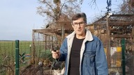 Kury na ogrodzie.  18. 02. 2024
