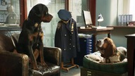 Wyszczekani / Show Dogs (2018) Dubbing PL
