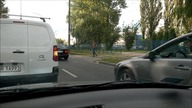 Kierowca pomaga psu przejść przez drogę