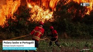 Pożary lasów w Portugalii.  Europa wysyła wsparcie [KS Info]