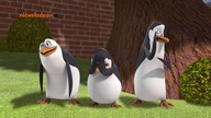 Pingwiny z Madagaskaru - SE01E19 Byłem Żywym Trupem - Operacja Żądło