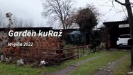 Kury - wigilia w kurniku