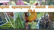 108.  Jesień 2015.  Przymrozek-wykopki-zimowanie Egzotyków.  Cz. 6