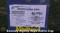 Agility_Portoroz. mp4