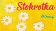 Jak zrobić stokrotkę na szydełku?  Prosty tutorial krok po kroku #585 PL/ENG