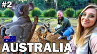Jak AUSTRALIA to oczywiście KANGURY , PANDY i piękna Opera w SYDNEY #2
