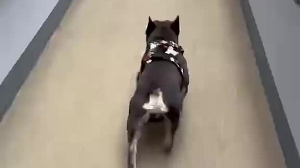 Na stacji, ale trzeba.