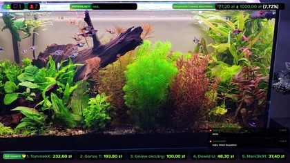 AkwaLive porządki [LIVE #149]