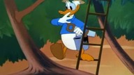 Walt Disnej przedstawia - Przygody Myszki Miki i Kaczora Donalda - składanka 3 kresk&oacute;wek