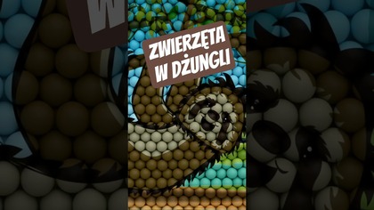 Zwierzęta w dżungli dla dzieci z piłkami - Leniwiec
