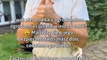 Jak zatrzymać psa w ogrodzie?  
#BezpieczeństwoZwierząt #Psy #Ogród