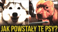 10 HISTORII POWSTANIA RAS PSOW