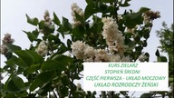 KOMUNIKAT O KURSACH