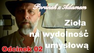 Poranek z Adamem [02] Zioła na wydajność umysłową