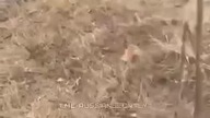 Wojna Rosja-Ukraina Rosjanin wchodzi na minę