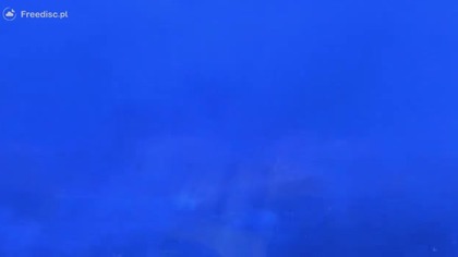 Rodzinka Robinsonow 2007 Dubbing PL