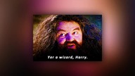 Harry Potter 20.  rocznica - co warto wiedzieć przed filmem HBO: Powrót do Hogwartu?