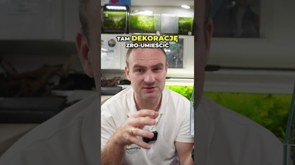 Nowe Aquapaludaria Gotowe Rozwiązania dla Pięknej Aranżacji!