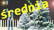 Jest taki dzień/Dzień jeden w roku (Czerwone Gitary) - średnia synthesia